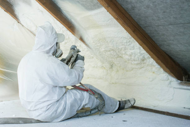 Trusted St Paul Park, MN Insulation Services Experts